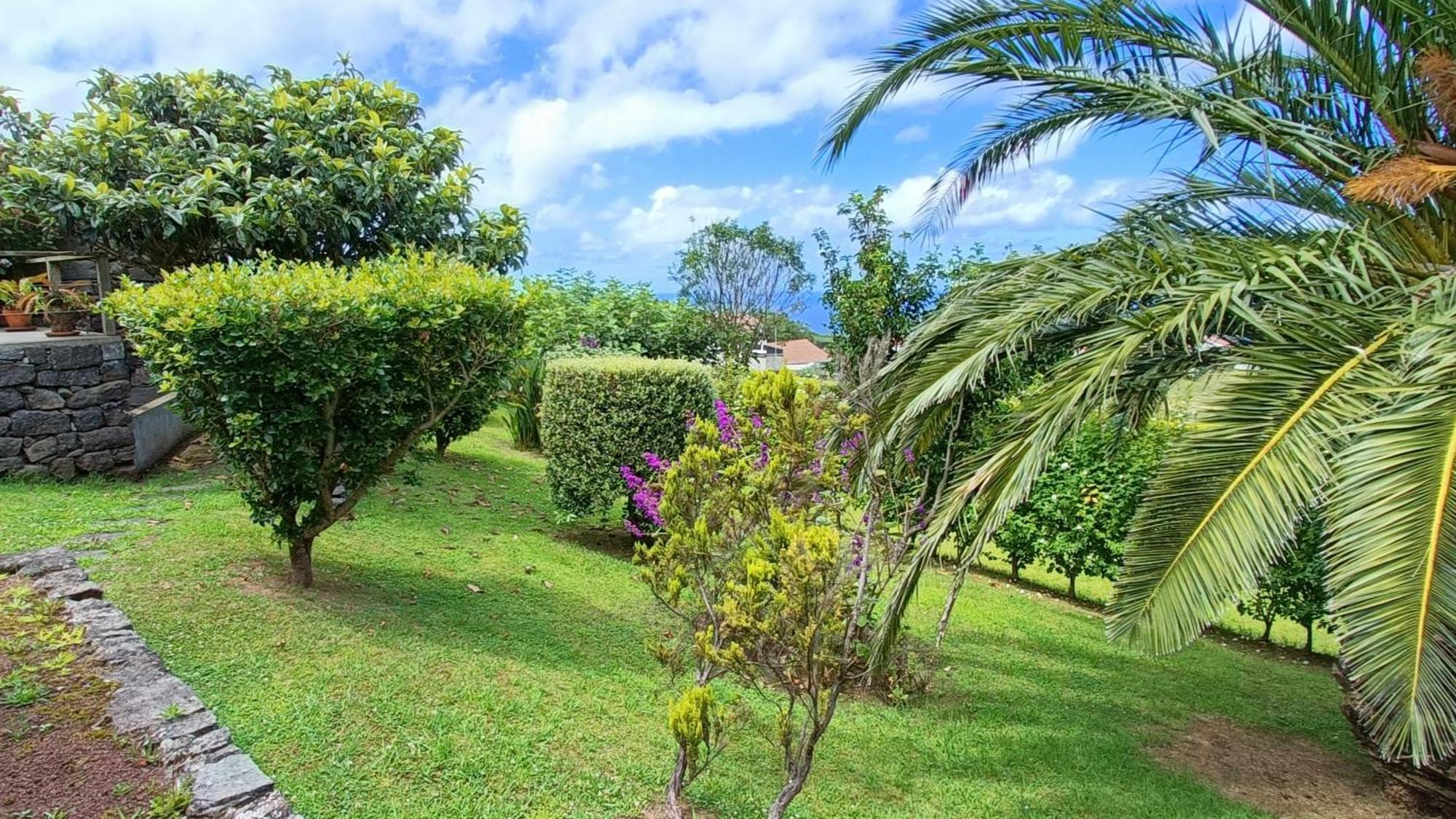 Tradicampo Eco Country Houses Nordeste  Buitenkant foto