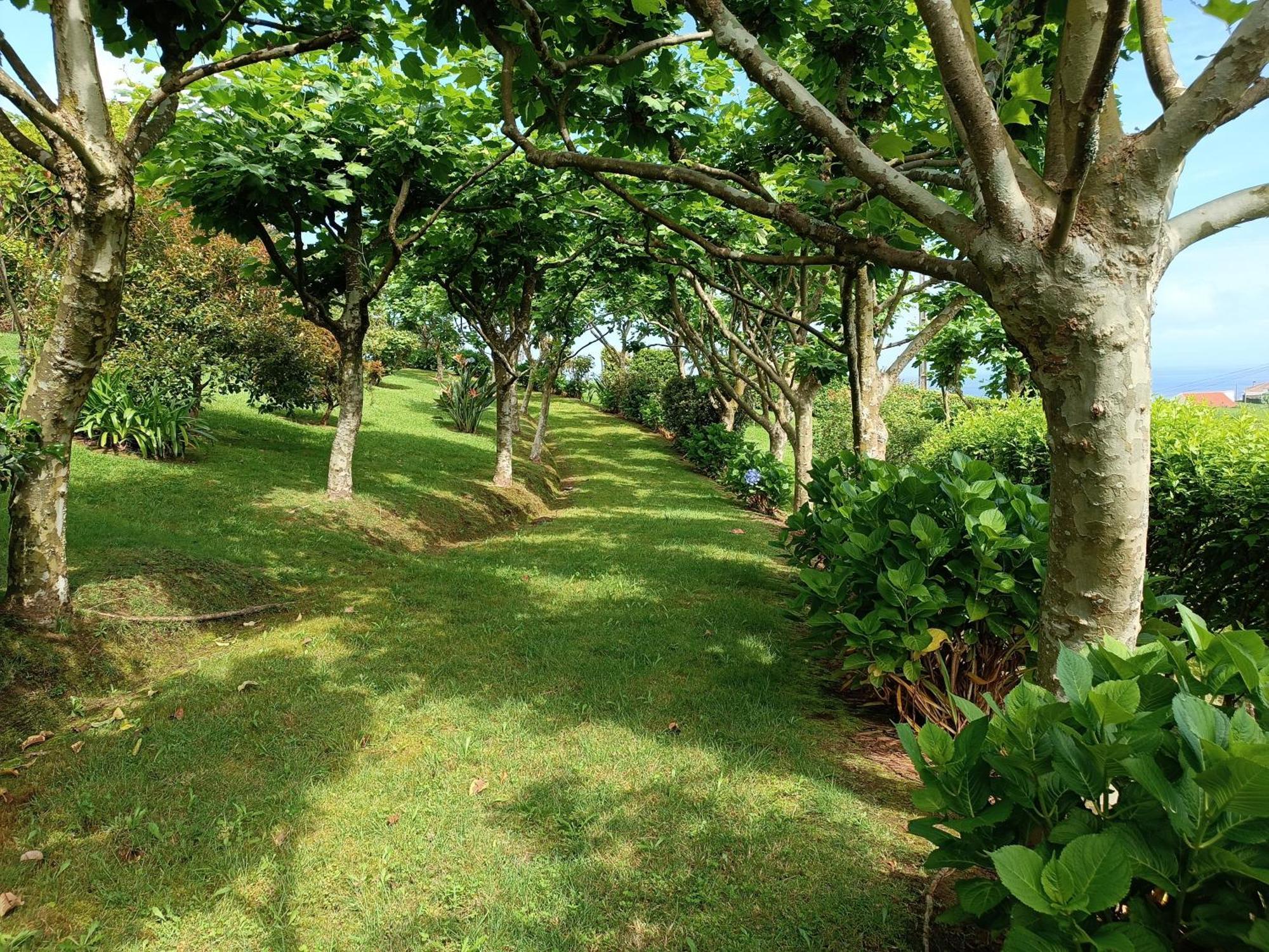 Tradicampo Eco Country Houses Nordeste  Buitenkant foto