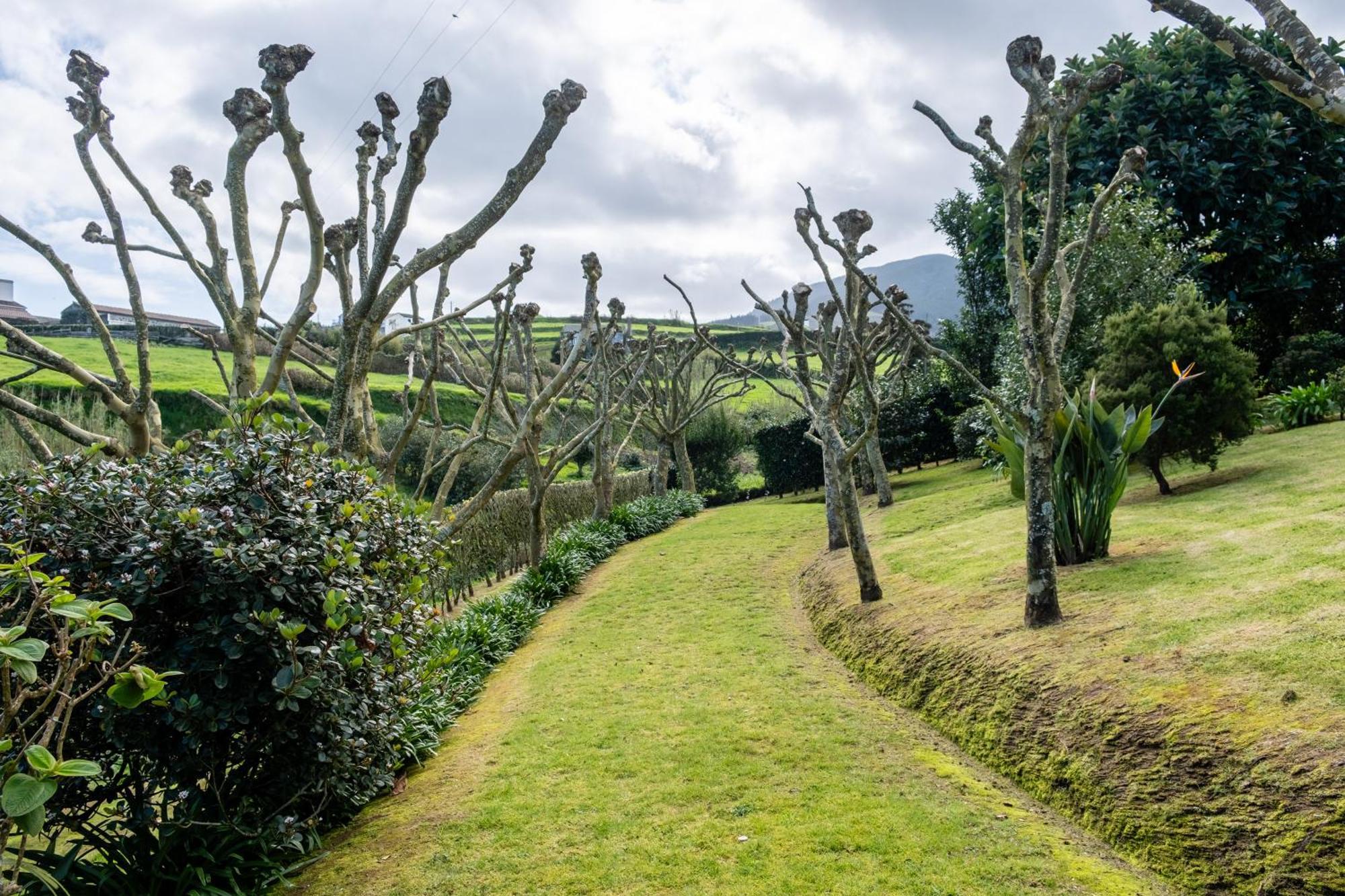 Tradicampo Eco Country Houses Nordeste  Buitenkant foto